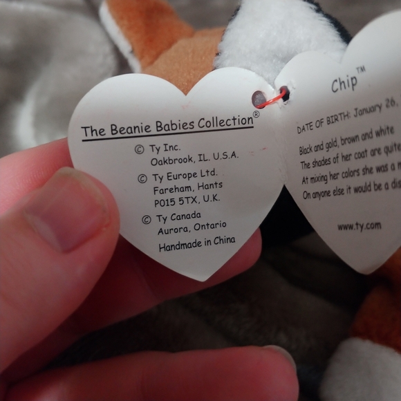 RARE TY "Chip" Beanie Baby, 1996 PVC & ERRORS - Picture 7 of 12